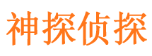 民丰市私家侦探